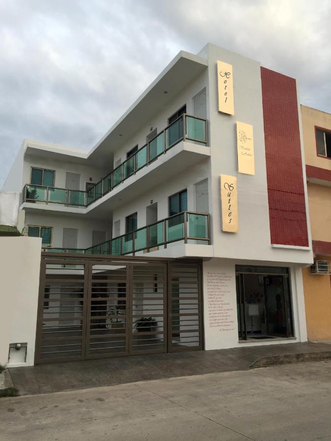 מלון פלאייה דל כרמן Quinta Santa Anita מראה חיצוני תמונה